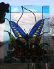 motyl1.jpg (2964 bytes)