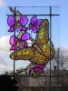motyl3.jpg (3160 bytes)